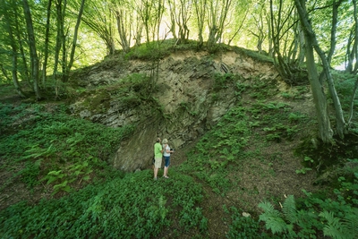 Dateiname=Wandern_im_Wiedtal_48.jpg
Dateigröße=2574KB
Abmessungen: 3000x2003
hinzugefügt am: 25. Januar 2018 Wandern_im_Wiedtal_48.jpg