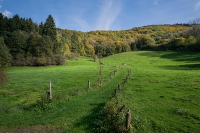 Dateiname=Wandern_im_Wiedtal_50.jpg
Dateigröße=9879KB
Abmessungen: 5989x3993
hinzugefügt am: 25. Januar 2018 Wandern_im_Wiedtal_50.jpg