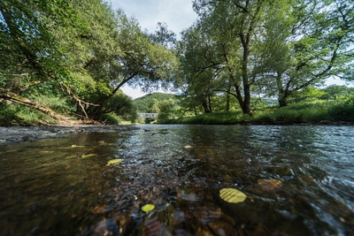 Dateiname=Wied_Wasser_Wiedtal_10.jpg
Dateigröße=2229KB
Abmessungen: 3000x2003
hinzugefügt am: 01. März 2018 Wied_Wasser_Wiedtal_10.jpg