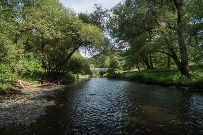 Dateiname=Wied_Wasser_Wiedtal_11.jpg
Dateigröße=2720KB
Abmessungen: 3000x2003
hinzugefügt am: 01. März 2018 Wied_Wasser_Wiedtal_11.jpg