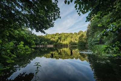 Dateiname=Wied_Wasser_Wiedtal_15.jpg
Dateigröße=1821KB
Abmessungen: 3000x2003
hinzugefügt am: 01. März 2018 Wied_Wasser_Wiedtal_15.jpg