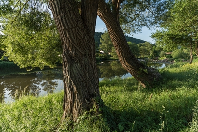 Dateiname=Wied_Wasser_Wiedtal_17.jpg
Dateigröße=2260KB
Abmessungen: 3000x2003
hinzugefügt am: 01. März 2018 Wied_Wasser_Wiedtal_17.jpg
