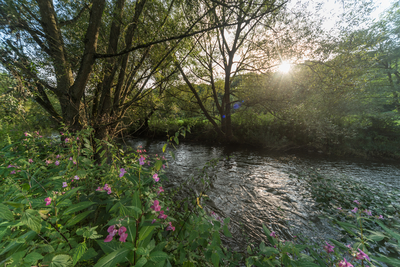 Dateiname=Wied_Wasser_Wiedtal_19.jpg
Dateigröße=17572KB
Abmessungen: 6016x4016
hinzugefügt am: 01. März 2018 Wied_Wasser_Wiedtal_19.jpg