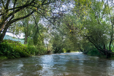 Dateiname=Wied_Wasser_Wiedtal_21.jpg
Dateigröße=10820KB
Abmessungen: 4429x2953
hinzugefügt am: 01. März 2018 Wied_Wasser_Wiedtal_21.jpg