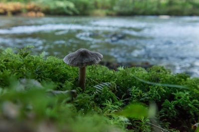Dateiname=Wied_Wasser_Wiedtal_23.jpg
Dateigröße=9626KB
Abmessungen: 5892x3928
hinzugefügt am: 01. März 2018 Wied_Wasser_Wiedtal_23.jpg