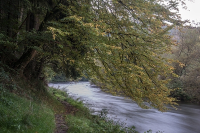 Dateiname=Wied_Wasser_Wiedtal_25.jpg
Dateigröße=12089KB
Abmessungen: 6016x4016
hinzugefügt am: 01. März 2018 Wied_Wasser_Wiedtal_25.jpg