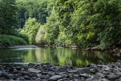 Dateiname=Wied_Wasser_Wiedtal_3.jpg
Dateigröße=2442KB
Abmessungen: 3000x2003
hinzugefügt am: 01. März 2018 Wied_Wasser_Wiedtal_3.jpg